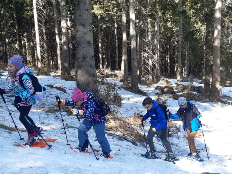 Zdjęcie grupy dzieci na rakietach śnieżnych wspinających się leśną ścieżką.