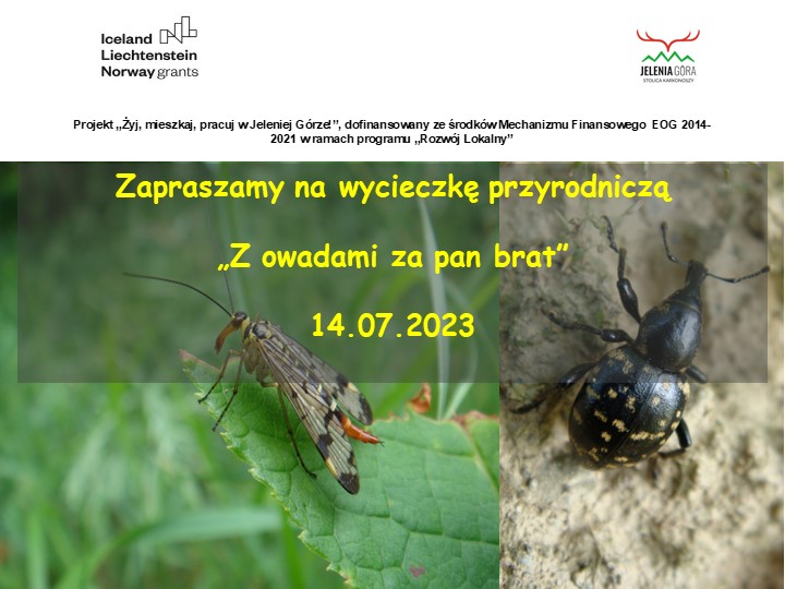 Wycieczka entomologiczna z KPN w piątek 14.07.2023 r.